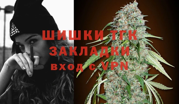 соль ск Богданович