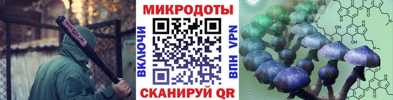 что такое наркотик  Светлогорск  Галлюциногенные грибы мицелий 