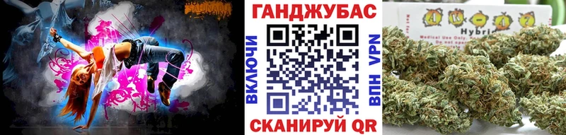 наркотики  Светлогорск  Бошки марихуана семена 